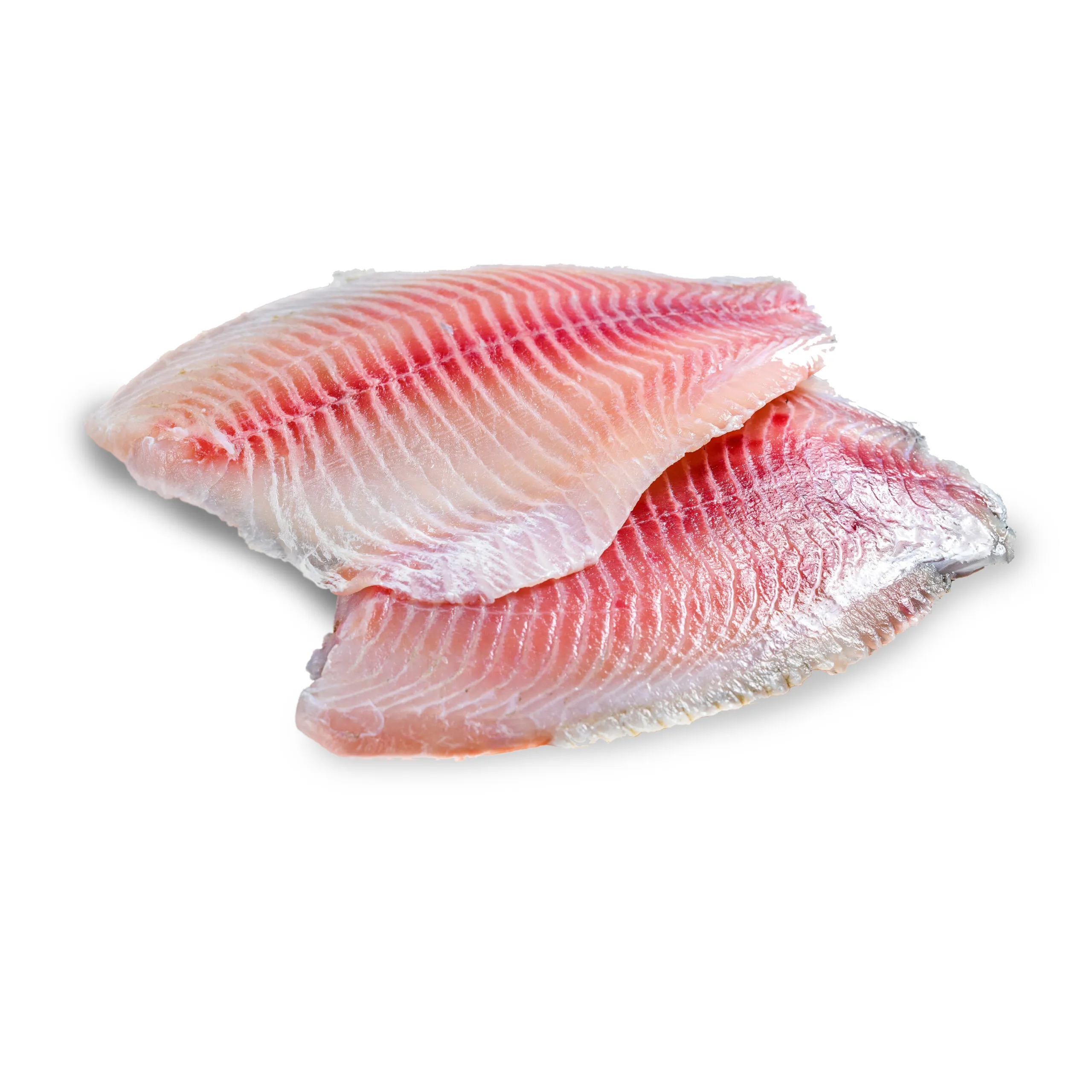 BAGRE BASA