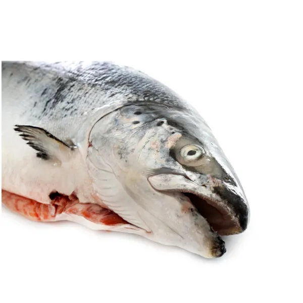 Cabeza de salmón Fresmar